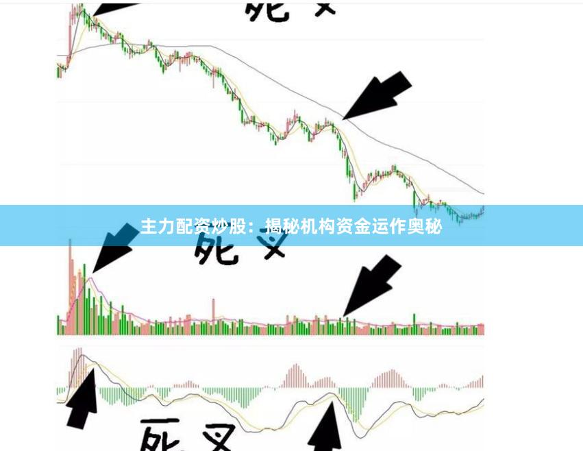 主力配资炒股：揭秘机构资金运作奥秘