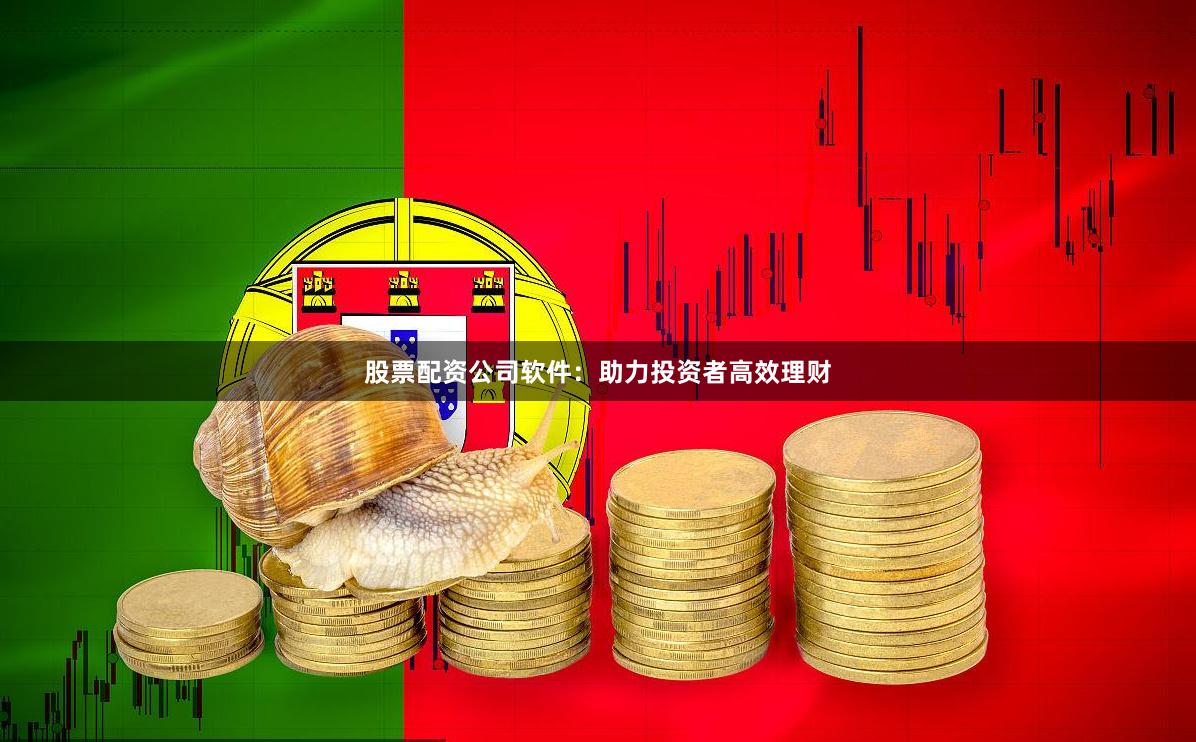 股票配资公司软件：助力投资者高效理财
